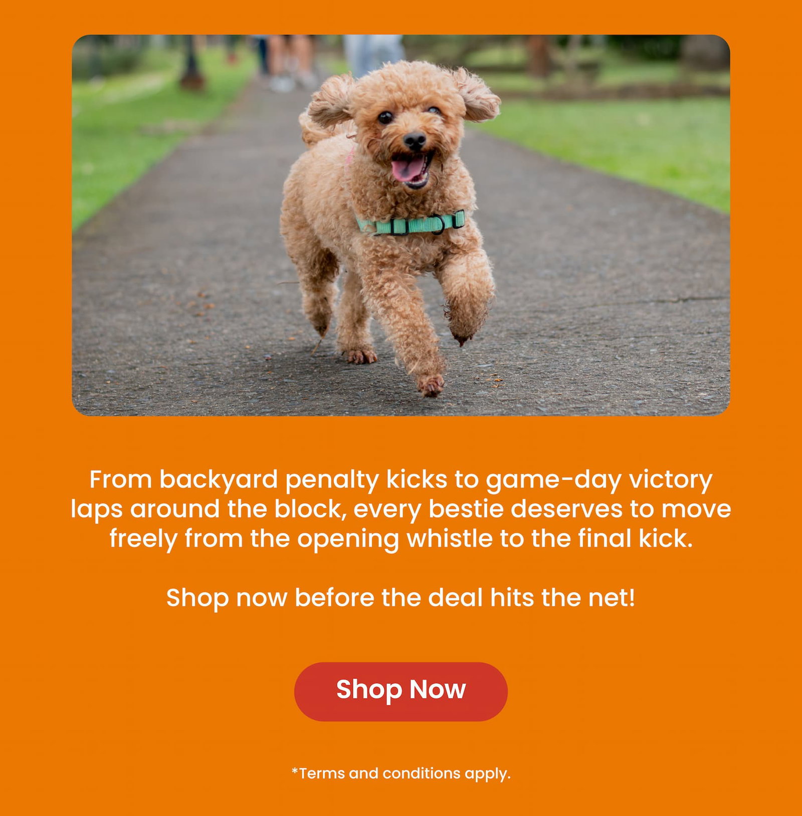 Shop now before the deal hits the net! *Terms and conditions apply