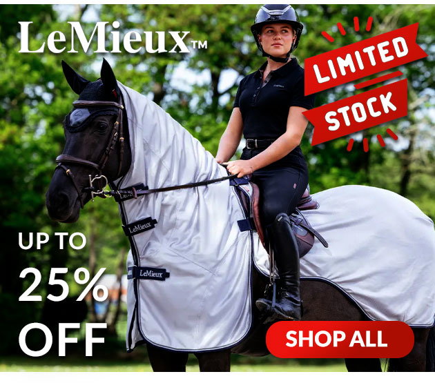 Lemieux summer sale
