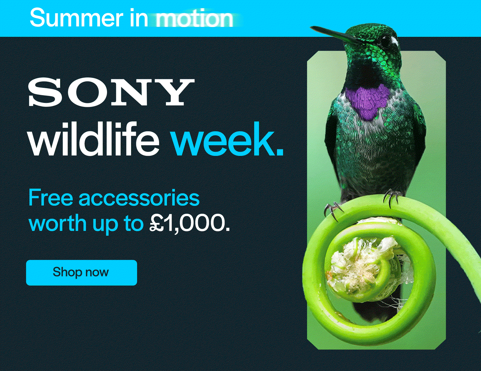 Sony wildlife week. Free accessories worth up to £1,000.