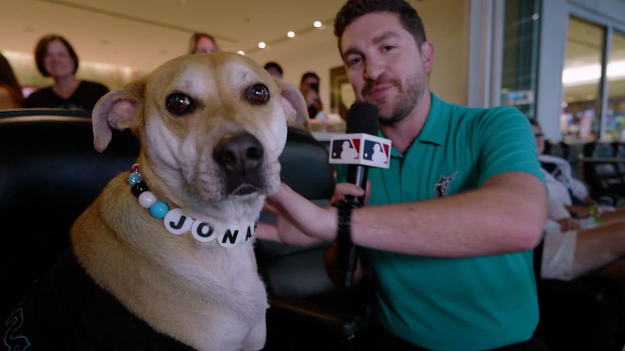 Screen grab of 6-year-old dog Jonah during a Marlins broadcast
