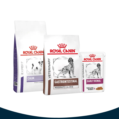 Royal Canin Dog