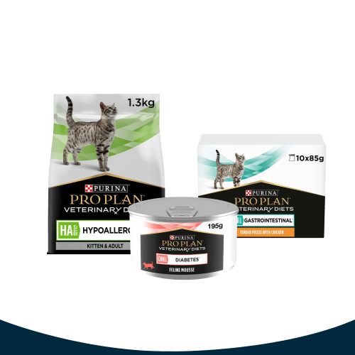 Purina Cat