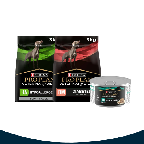 Purina Dog