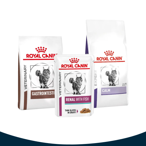 Royal Canin Cat
