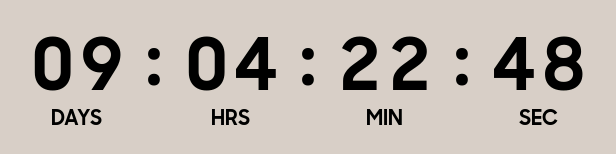 timer