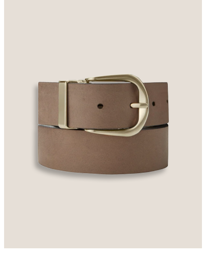 Reversible Gold Buckle Belt