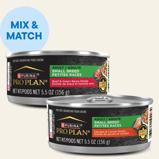 Purina Pro Plan Wet Cat Food