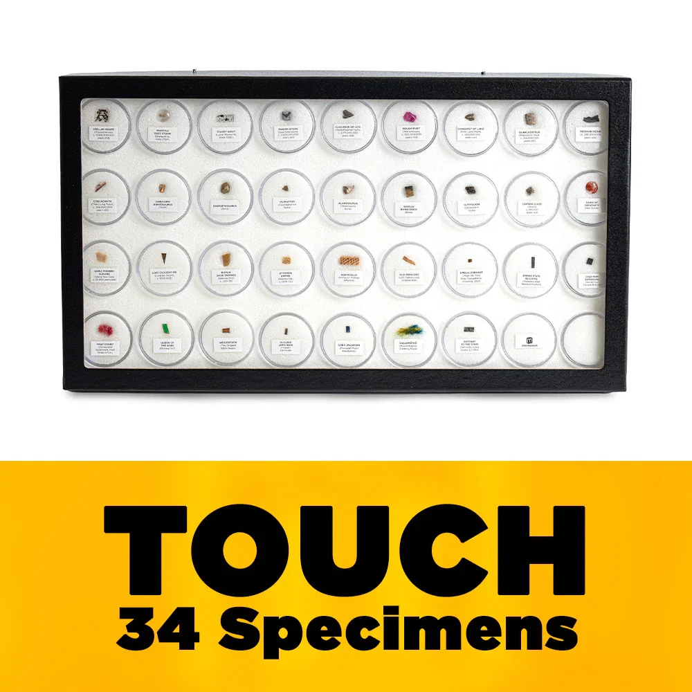 Image of Mini Museum - Fifth Edition (TOUCH - 34 Specimens) - LAST CHANCE