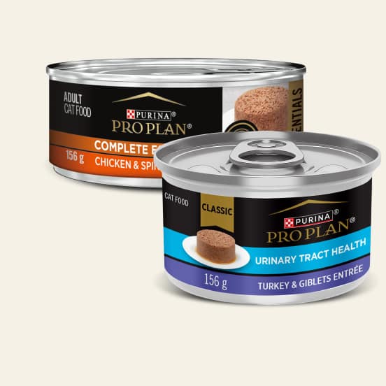 Purina Pro Plan Wet Dog Food
