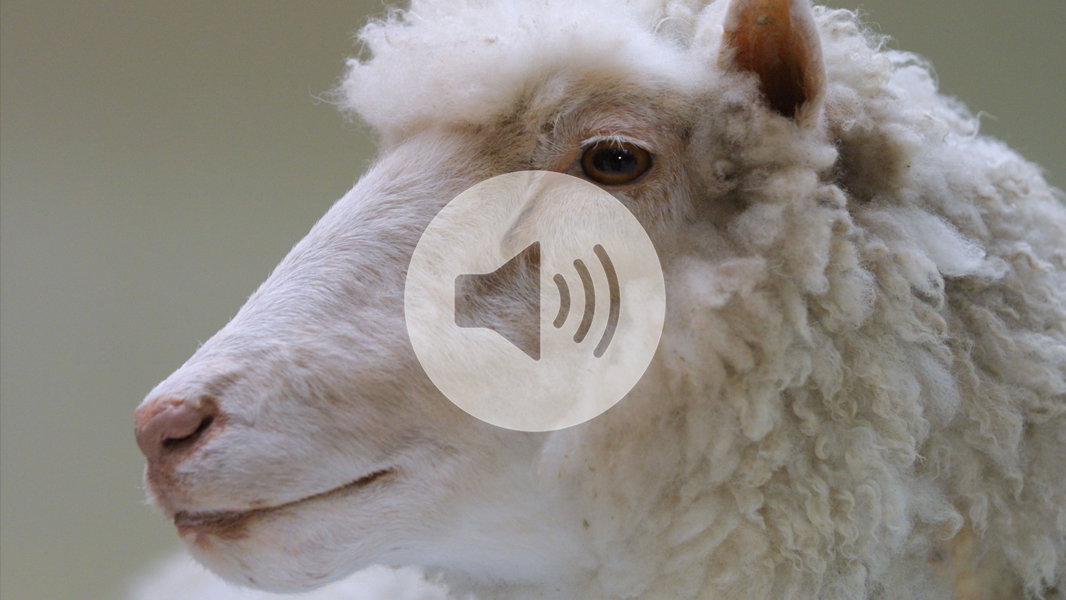 Click to listen