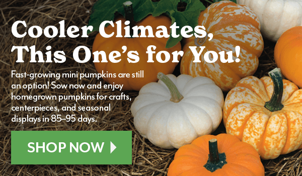 Cooler Climates, This One's for You!