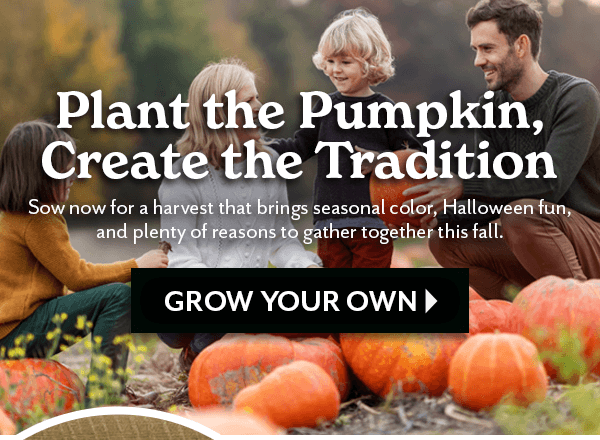PLANT THE PUMPKIN, CREATE THE TRADITION