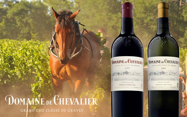 Domaine de Chevalier: uno dei più grandi millesimi degli ultimi 20 anni