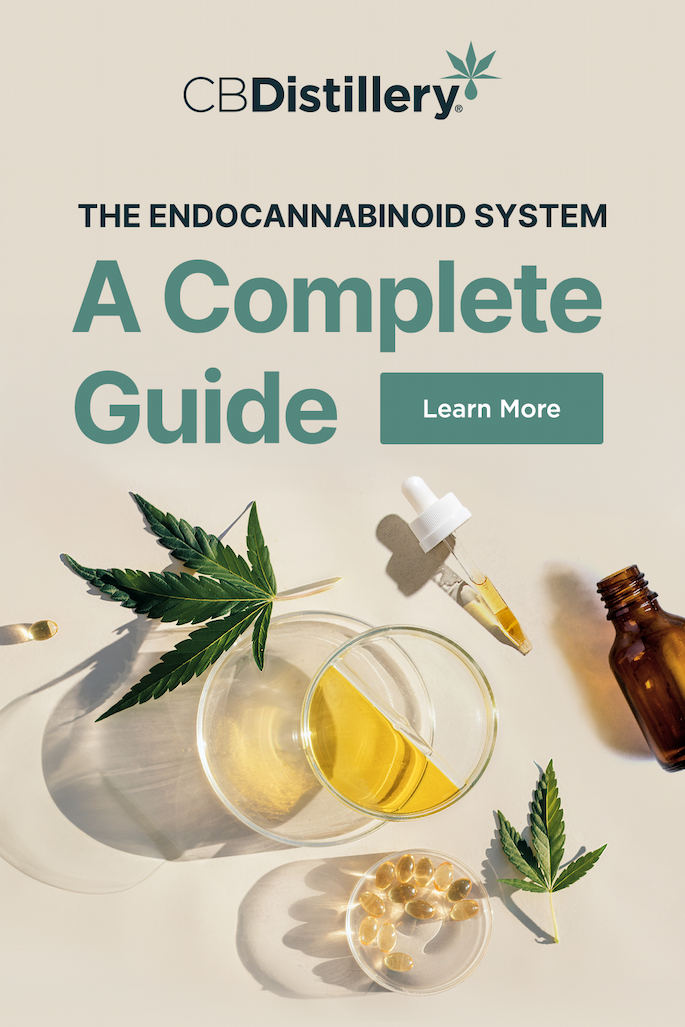 The Endocannabinoid System: A Complete Guide. Learn More