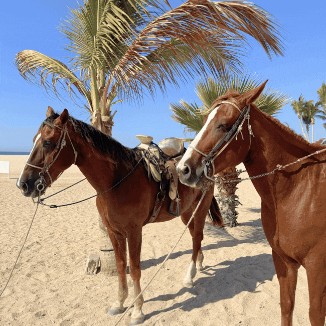 Cabo Images