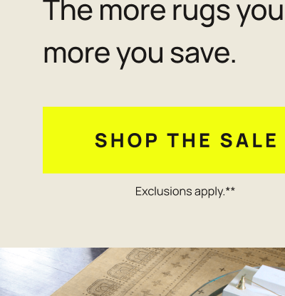Shop The Sale 