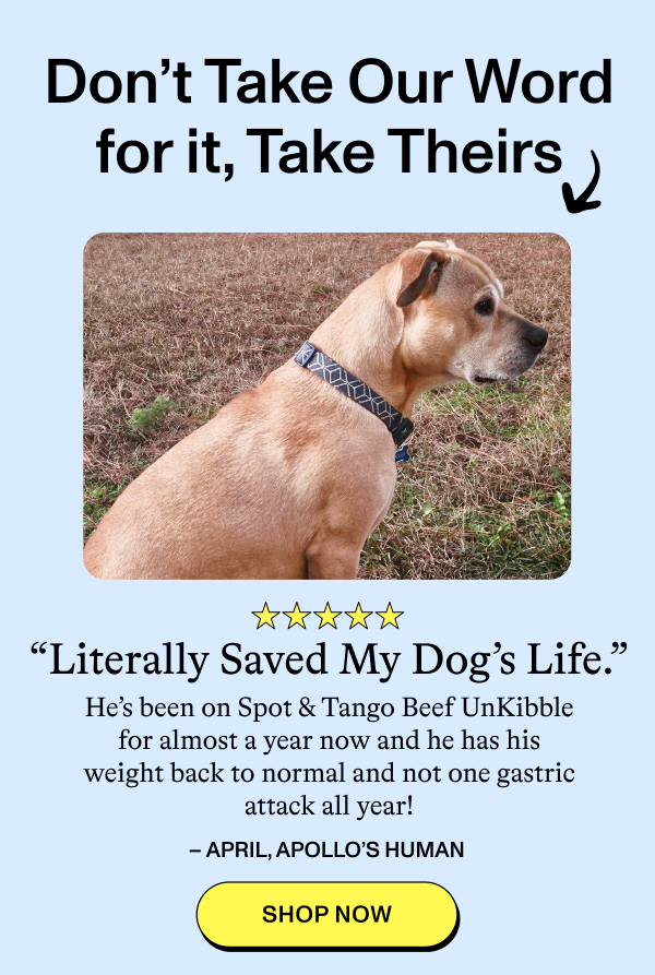 Don’t Take Our Word for it, Take Theirs  ★★★★★  “Literally Saved My Dog’s Life.”  He’s been on Spot & Tango Beef UnKibble for almost a year now and he has his weight back to normal and not one gastric attack all year!  – APRIL, APOLLO’S HUMAN  [SHOP NOW]