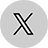 X icon