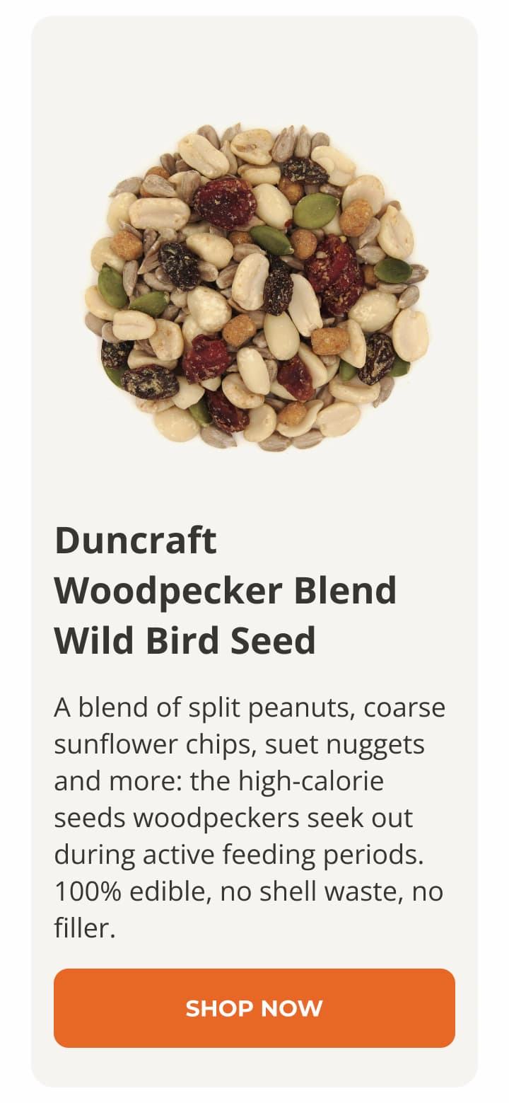 Duncraft Woodpecker Blend Wild Bird Seed