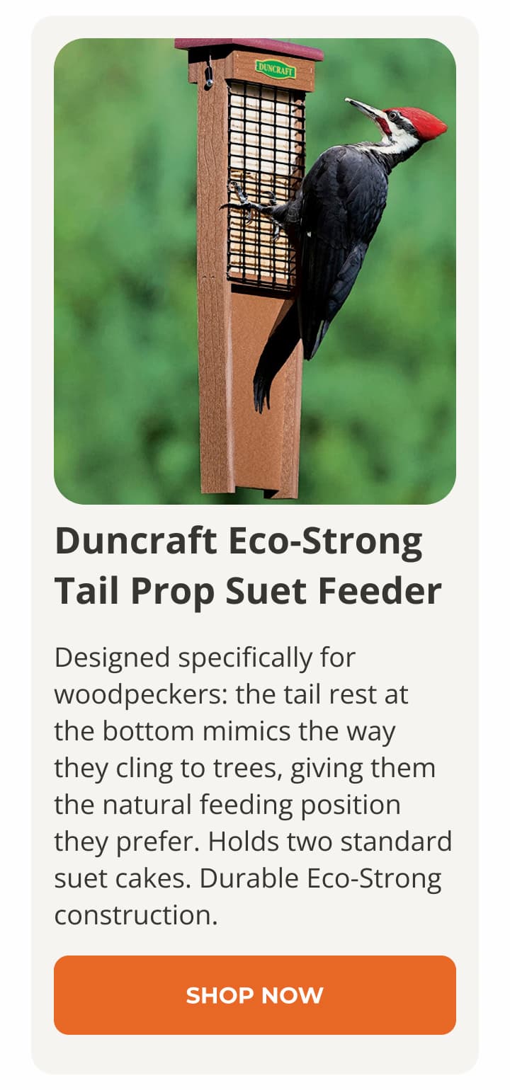 Duncraft Eco-Strong
