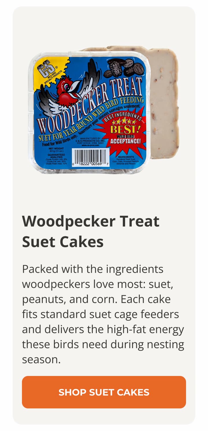 Woodpecker Treat Suet Cakes