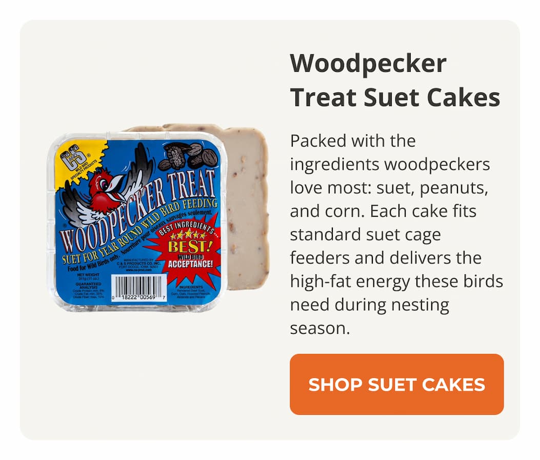 Woodpecker Treat Suet Cakes