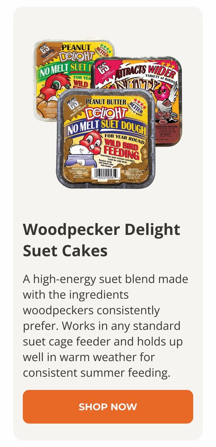 Woodpecker Delight Suet Cakes