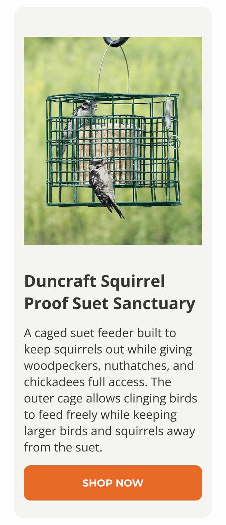 Duncraft Squirrel Proof