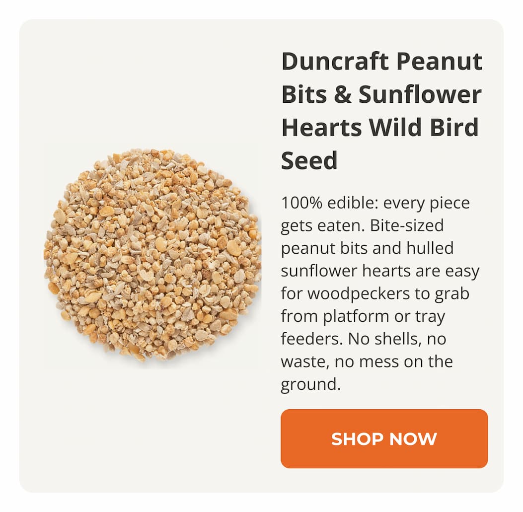 Duncraft Peanut Bits