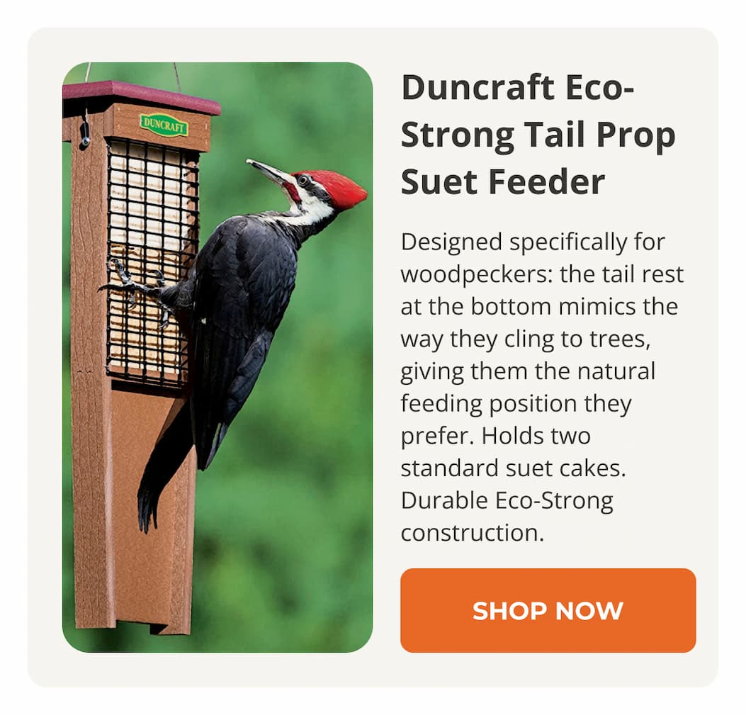 Duncraft Eco-Strong