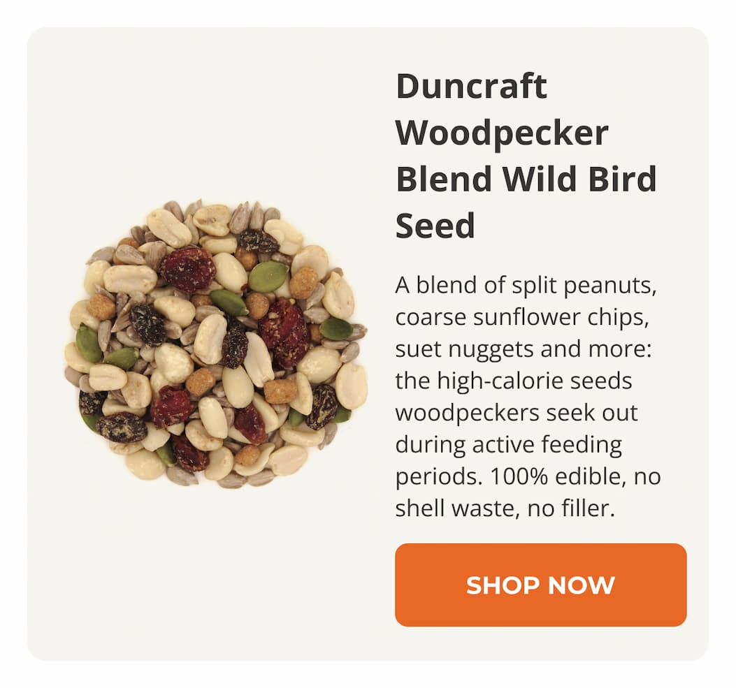 Duncraft Woodpecker Blend Wild Bird Seed