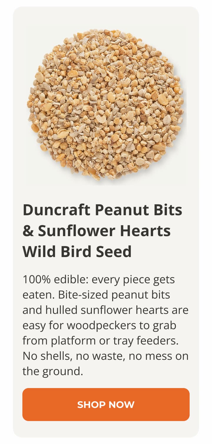 Duncraft Peanut Bits