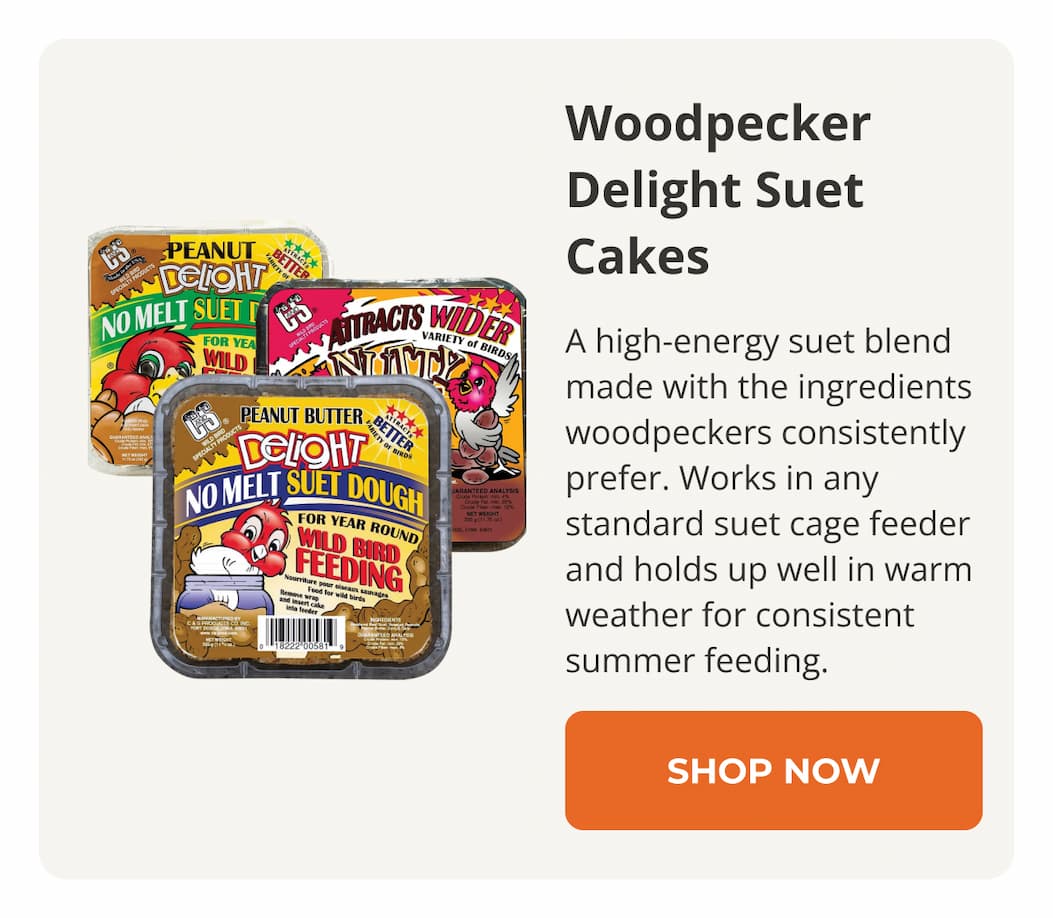 Woodpecker Delight Suet Cakes