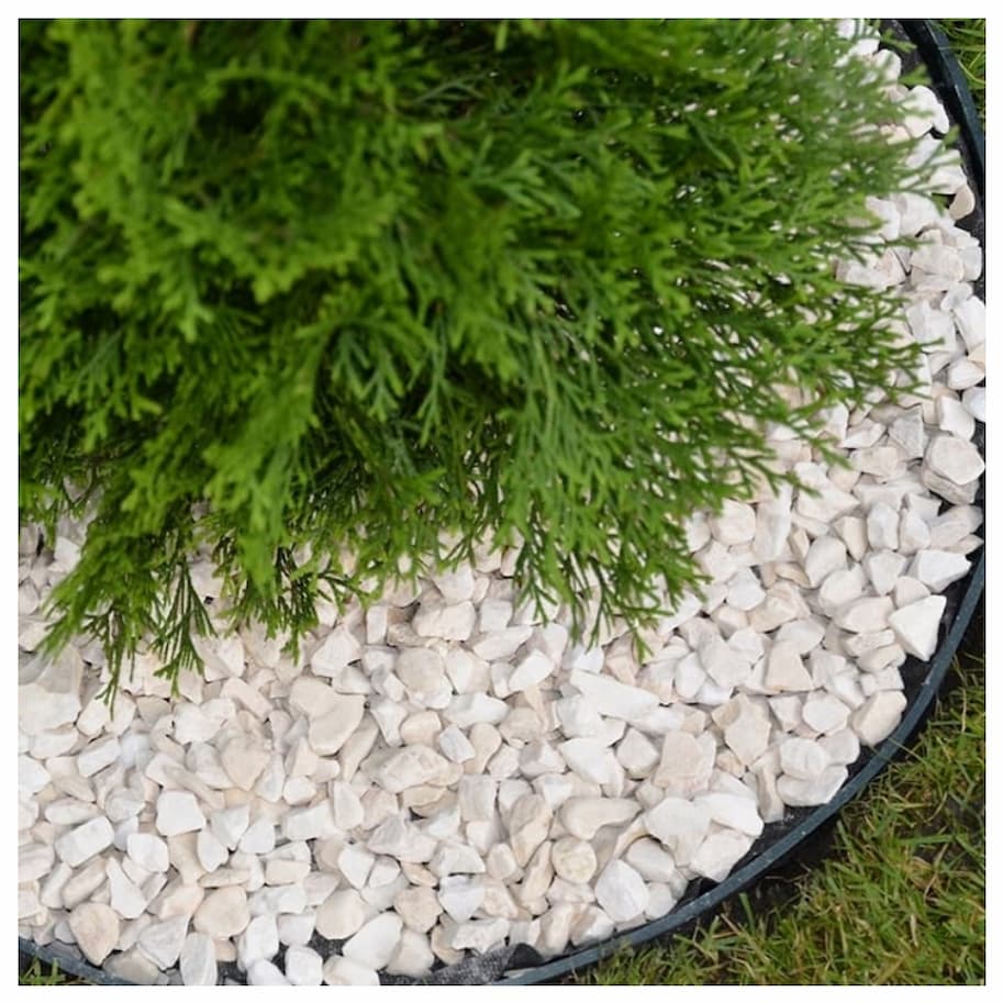 Landscaping & Structures 