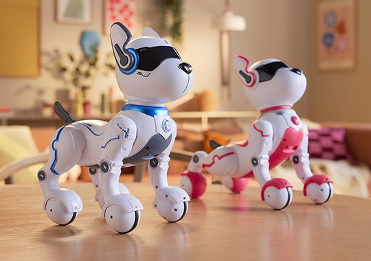 Ziggy & Zoey the Robo Dogs