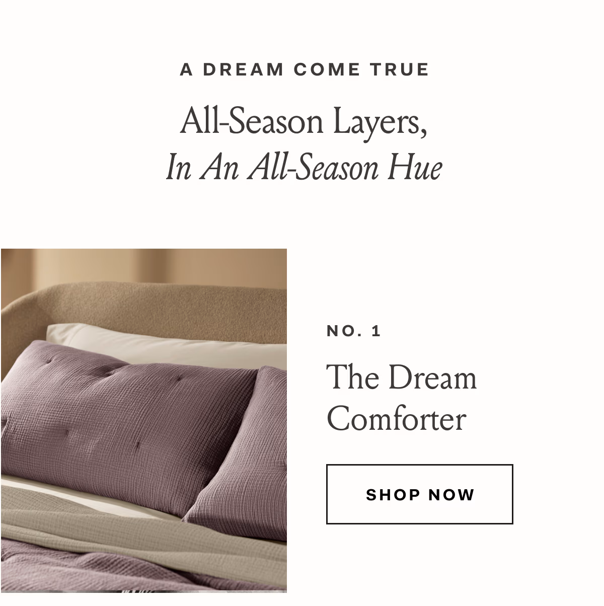 A DREAM COME TRUE All-Season Layers, In An All-Season Hue The Dream Comforter