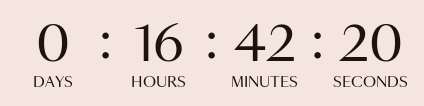 Countdown Timer