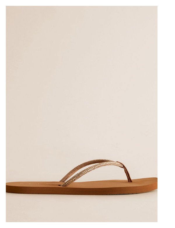Shop Women's Shoes