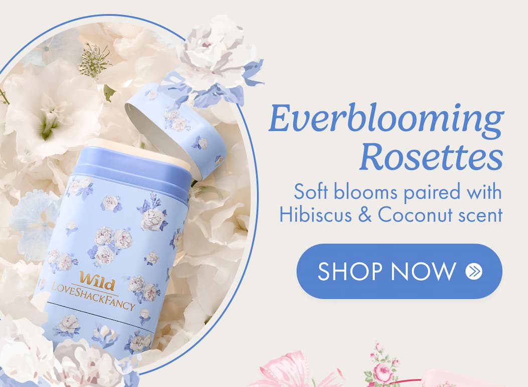Everblooming Rosettes with Hibiscus & Coconut Scent
