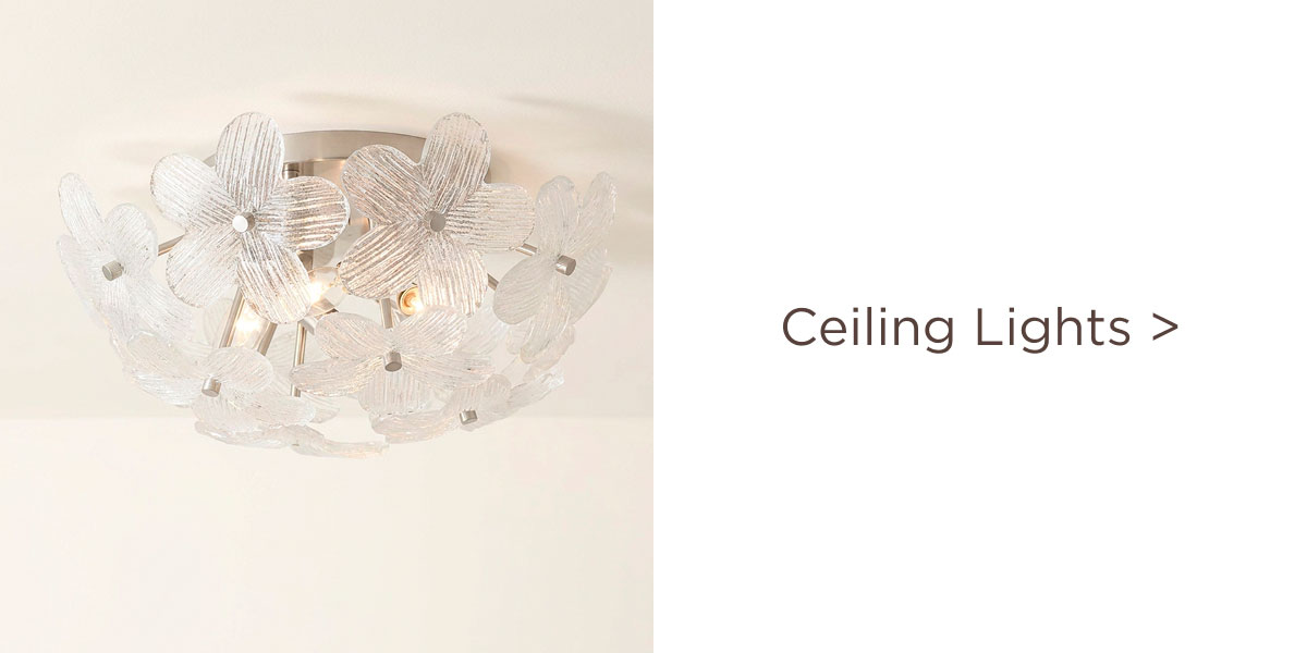 Ceiling Lights >