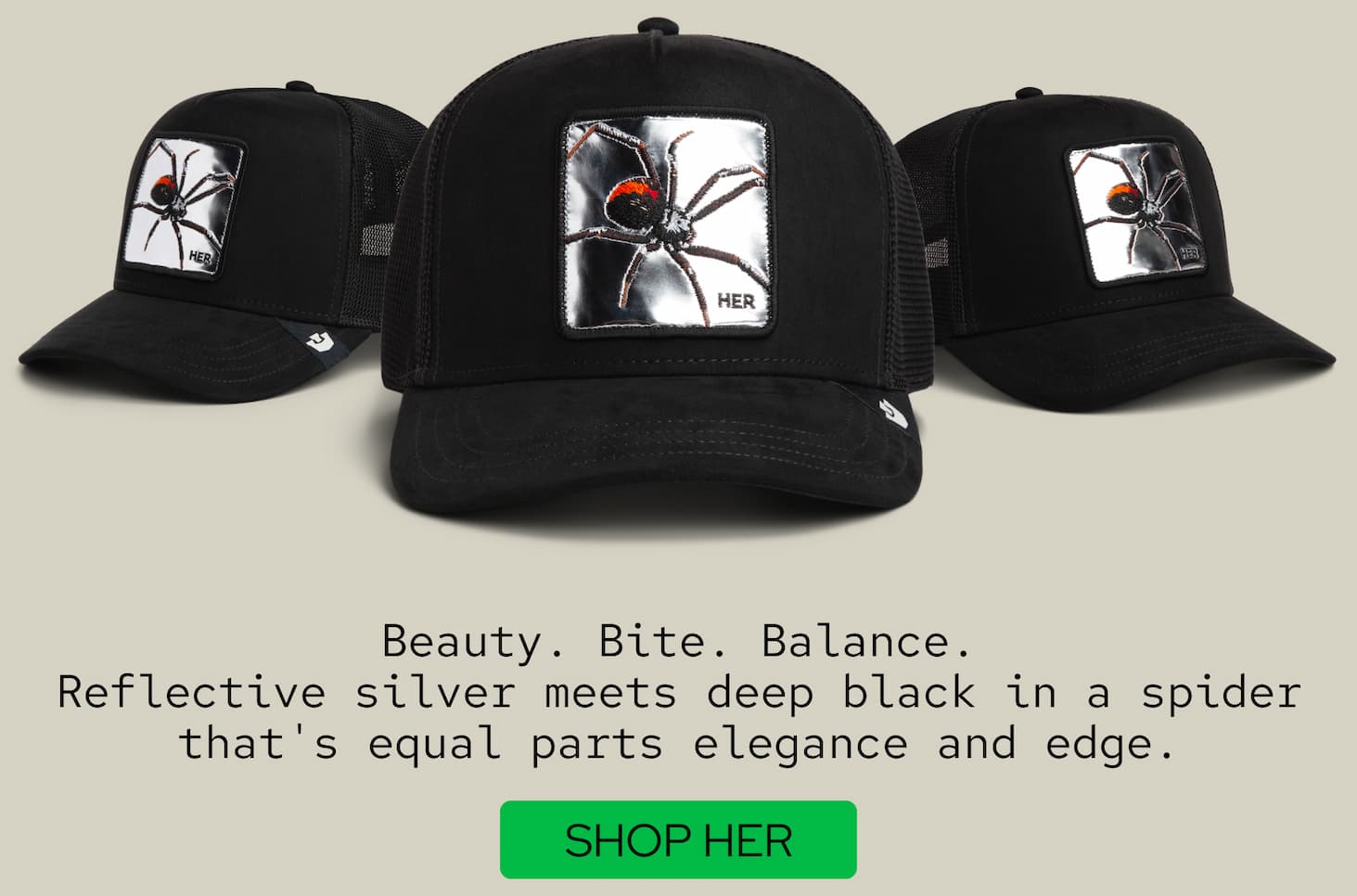 Silver Spider