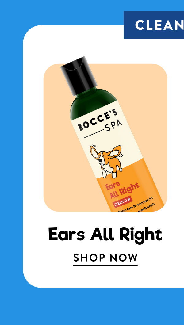 Shop Ears All Right