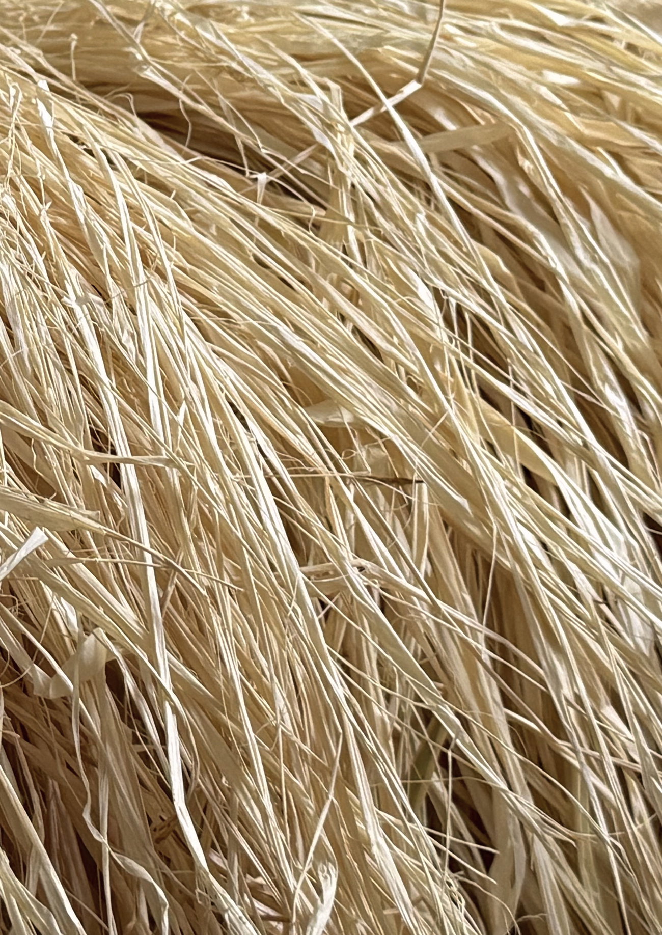 the hudson raffia