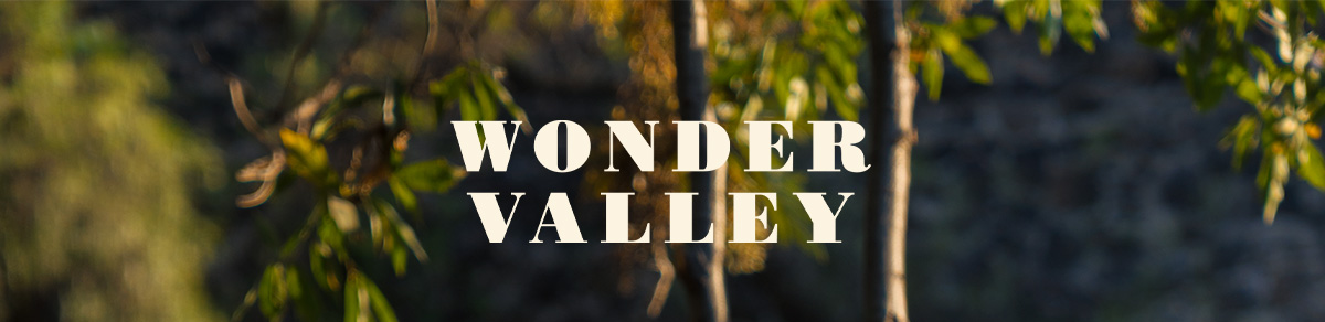 WONDER VALLEY