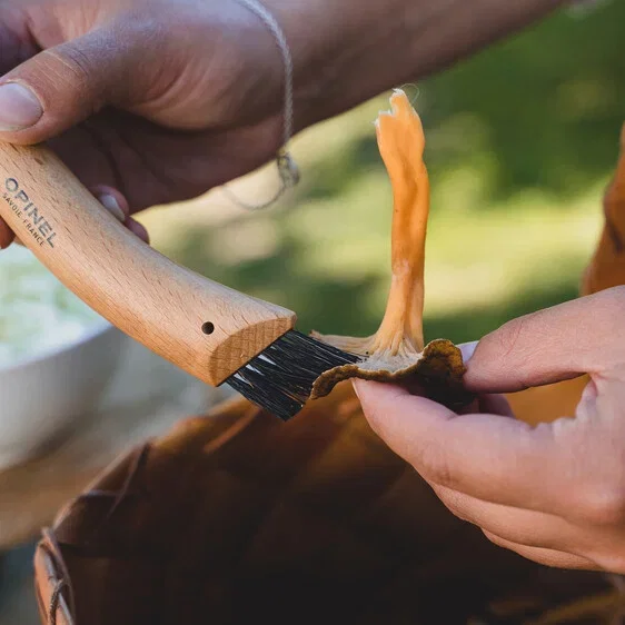 Opinel No. 8 svampkniv och hölster