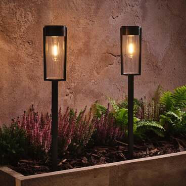 Set of 2 Wilton Solar Stake Lights
