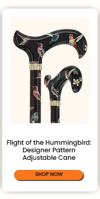 Flight of the Hummingbird