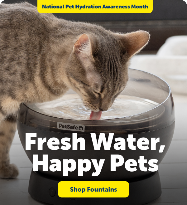 Fresh Water, Happy Pets. Shop Fountains to celebrate National Pet Hydration Awareness Month