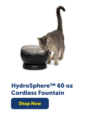 Shop HydroSphere 60 oz Cordless Fountain