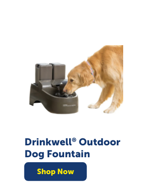 Shop Drinkwell Outdoor Dog Fountain